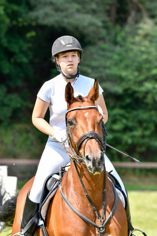 Reitturnier Harburger RV  16.7.2021 | 16072021 Stilspringpfg E_165-2 
