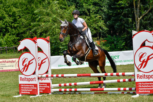 Reitturnier Harburger RV  16.7.2021 | 16072021 Stilspringpfg E_169-2 