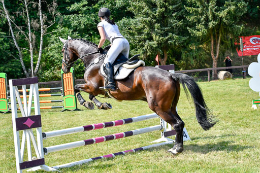 Reitturnier Harburger RV  16.7.2021 | 16072021 Stilspringpfg E_172-2 