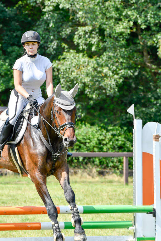 Reitturnier Harburger RV  16.7.2021 | 16072021 Stilspringpfg E_174-2 