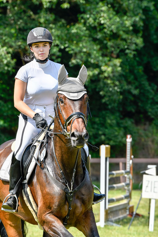 Reitturnier Harburger RV  16.7.2021 | 16072021 Stilspringpfg E_175-2 