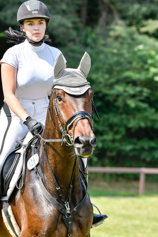 Reitturnier Harburger RV  16.7.2021 | 16072021 Stilspringpfg E_176-2 