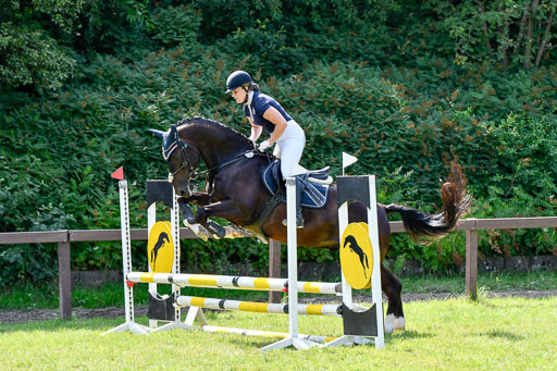 Reitturnier Harburger RV  16.7.2021 | 16072021 Stilspringpfg E_179-2 