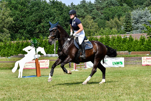 Reitturnier Harburger RV  16.7.2021 | 16072021 Stilspringpfg E_182-2 