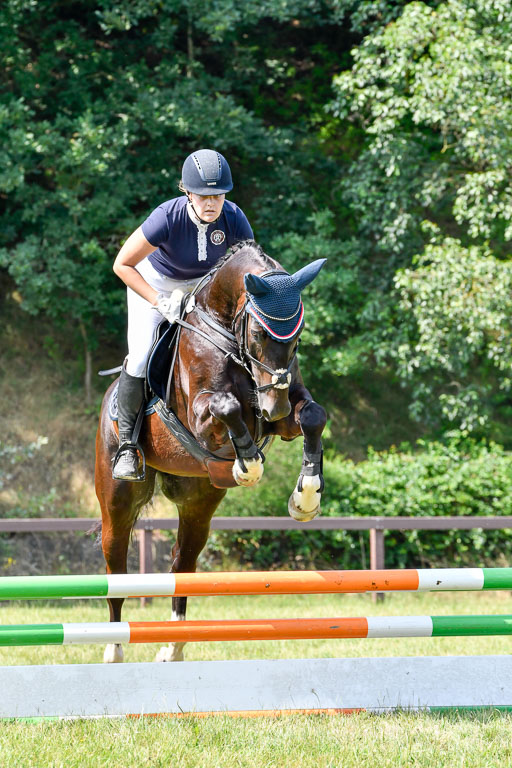 Reitturnier Harburger RV  16.7.2021 | 16072021 Stilspringpfg E_183-2 