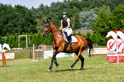 Reitturnier Harburger RV  16.7.2021 | 16072021 Stilspringpfg E_186-2 
