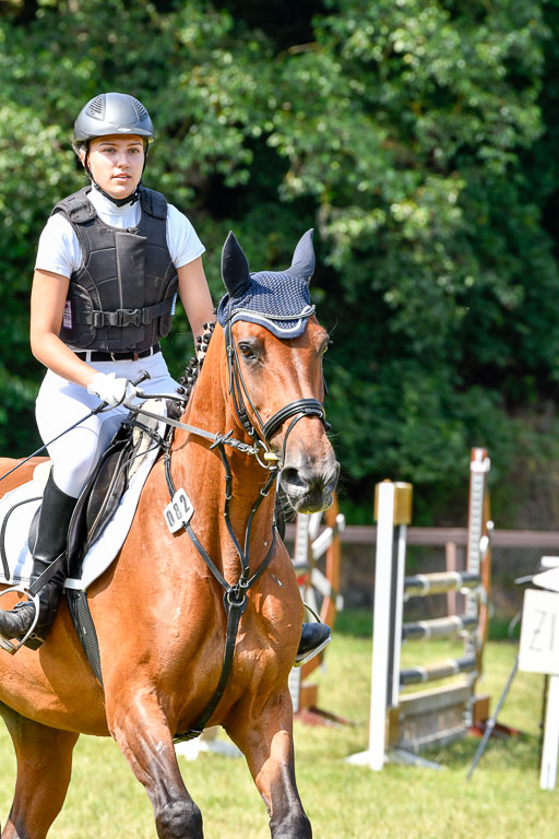 Reitturnier Harburger RV  16.7.2021 | 16072021 Stilspringpfg E_188-2 