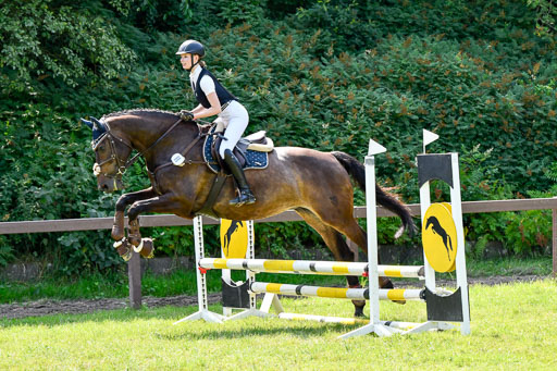 Reitturnier Harburger RV  16.7.2021 | 16072021 Stilspringpfg E_191-2 