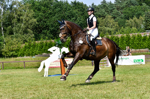Reitturnier Harburger RV  16.7.2021 | 16072021 Stilspringpfg E_194-2 