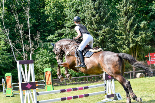 Reitturnier Harburger RV  16.7.2021 | 16072021 Stilspringpfg E_195-2 
