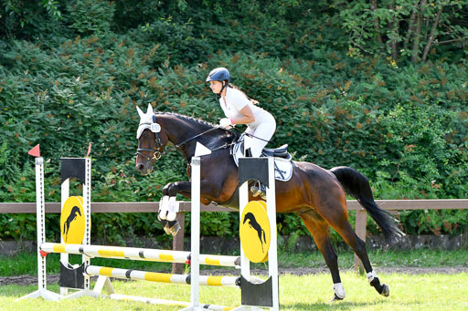 Reitturnier Harburger RV  16.7.2021 | 16072021 Stilspringpfg E_200-2 