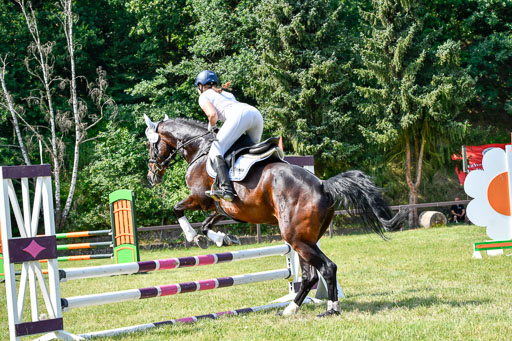 Reitturnier Harburger RV  16.7.2021 | 16072021 Stilspringpfg E_204-2 