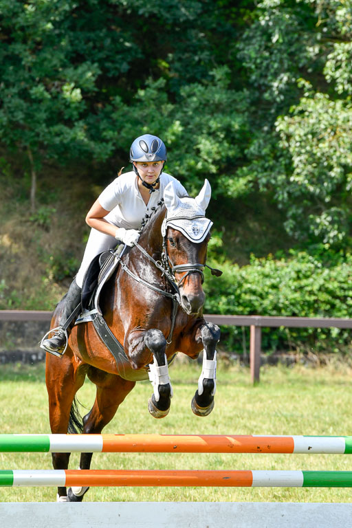 Reitturnier Harburger RV  16.7.2021 | 16072021 Stilspringpfg E_205-2 