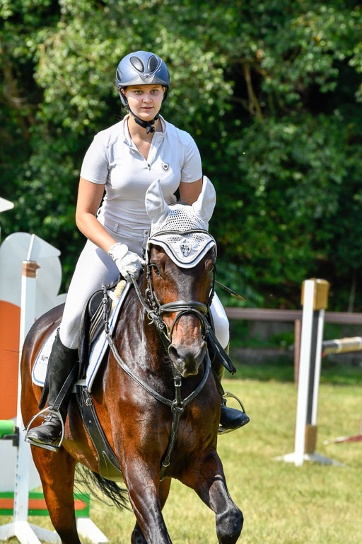 Reitturnier Harburger RV  16.7.2021 | 16072021 Stilspringpfg E_206-2 