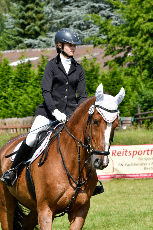 Reitturnier Harburger RV  16.7.2021 | 16072021 Stilspringpfg E_209-2 