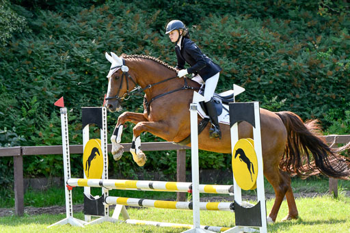 Reitturnier Harburger RV  16.7.2021 | 16072021 Stilspringpfg E_210-2 