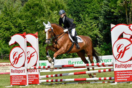 Reitturnier Harburger RV  16.7.2021 | 16072021 Stilspringpfg E_212-2 