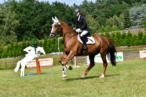 Reitturnier Harburger RV  16.7.2021 | 16072021 Stilspringpfg E_213-2 