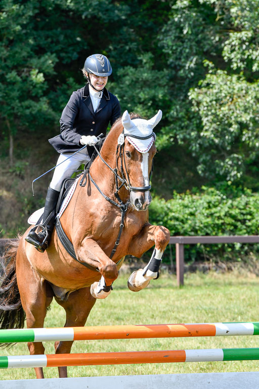 Reitturnier Harburger RV  16.7.2021 | 16072021 Stilspringpfg E_214-2 
