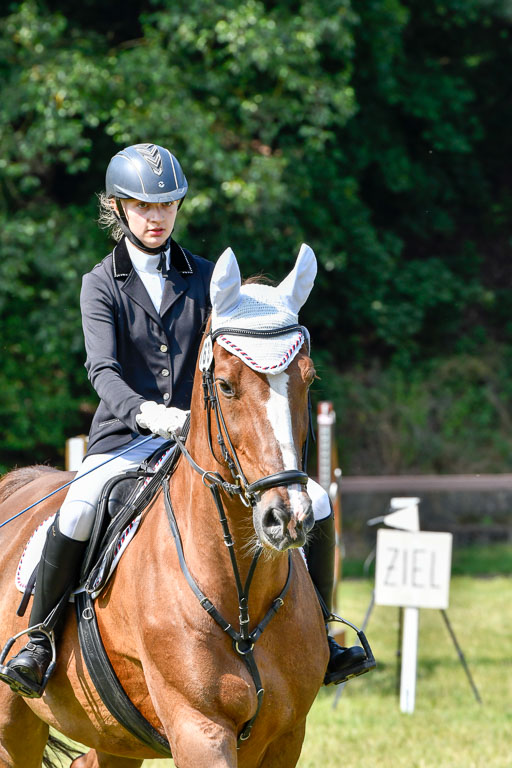 Reitturnier Harburger RV  16.7.2021 | 16072021 Stilspringpfg E_217-2 