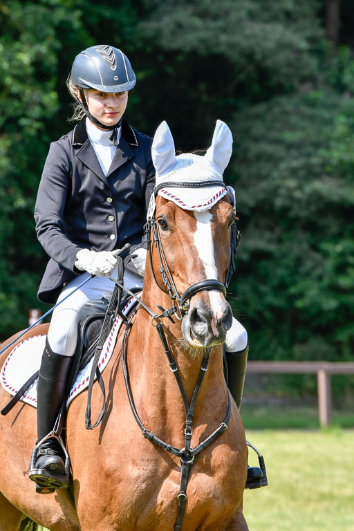 Reitturnier Harburger RV  16.7.2021 | 16072021 Stilspringpfg E_218-2 