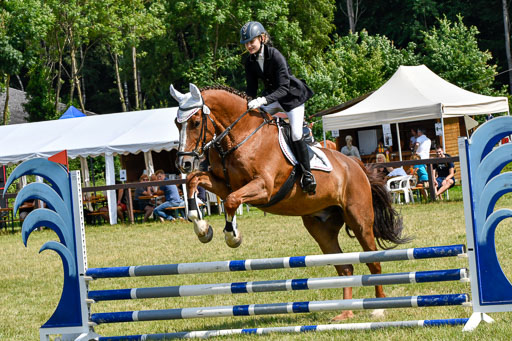 Reitturnier Harburger RV  16.7.2021 | 16072021 Stilspringpfg E_219-2 