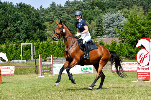 Reitturnier Harburger RV  16.7.2021 | 16072021 Stilspringpfg E_222-2 