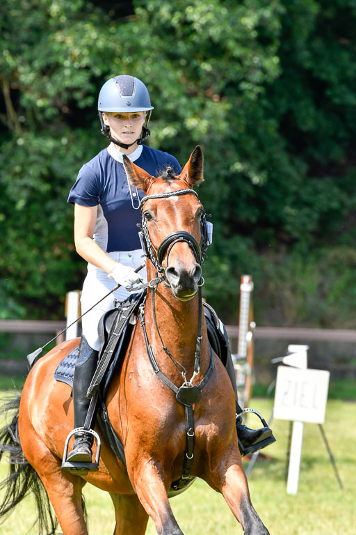 Reitturnier Harburger RV  16.7.2021 | 16072021 Stilspringpfg E_226-2 