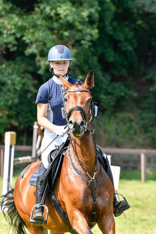 Reitturnier Harburger RV  16.7.2021 | 16072021 Stilspringpfg E_227-2 