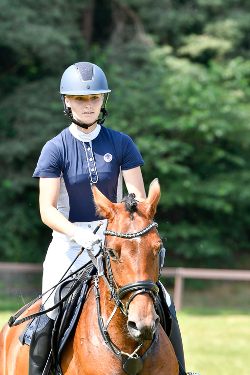 Reitturnier Harburger RV  16.7.2021 | 16072021 Stilspringpfg E_228-2 