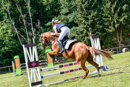 Reitturnier Harburger RV  16.7.2021 | 16072021 Stilspringpfg E_233-2 