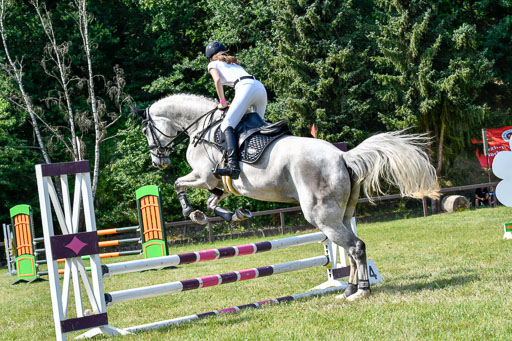 Reitturnier Harburger RV  16.7.2021 | 16072021 Stilspringpfg E_246-2 