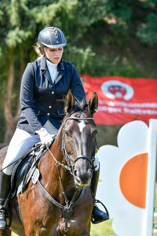 Reitturnier Harburger RV  16.7.2021 | 16072021 Stilspringpfg E_258-2 