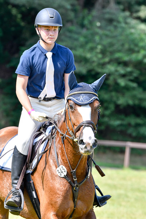 Reitturnier Harburger RV  16.7.2021 | 16072021 Stilspringpfg E_265-2 