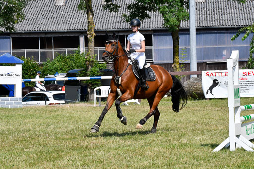 Reitturnier Harburger RV  16.7.2021 | 16072021 Stilspringpfg E_267-2 