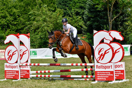 Reitturnier Harburger RV  16.7.2021 | 16072021 Stilspringpfg E_268-2 