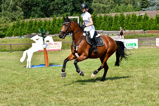 Reitturnier Harburger RV  16.7.2021 | 16072021 Stilspringpfg E_269-2 