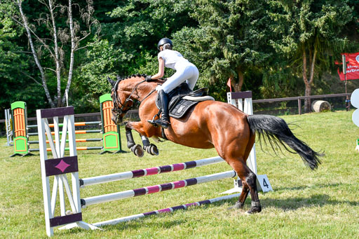 Reitturnier Harburger RV  16.7.2021 | 16072021 Stilspringpfg E_270-2 