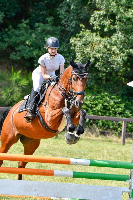 Reitturnier Harburger RV  16.7.2021 | 16072021 Stilspringpfg E_271-2 