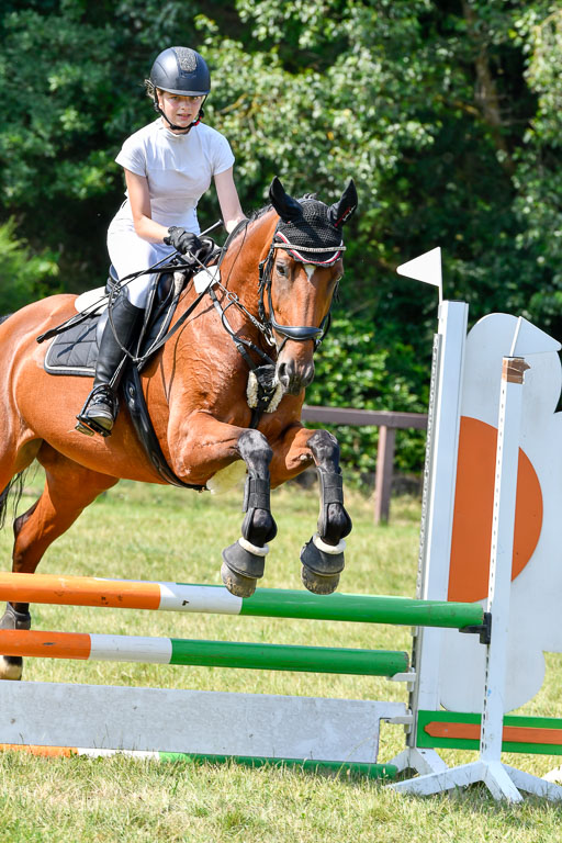 Reitturnier Harburger RV  16.7.2021 | 16072021 Stilspringpfg E_272-2 