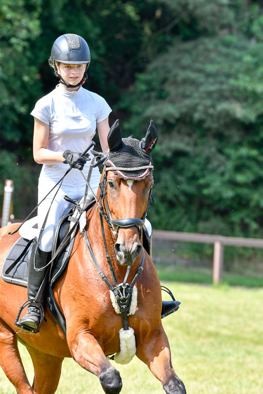 Reitturnier Harburger RV  16.7.2021 | 16072021 Stilspringpfg E_273-2 