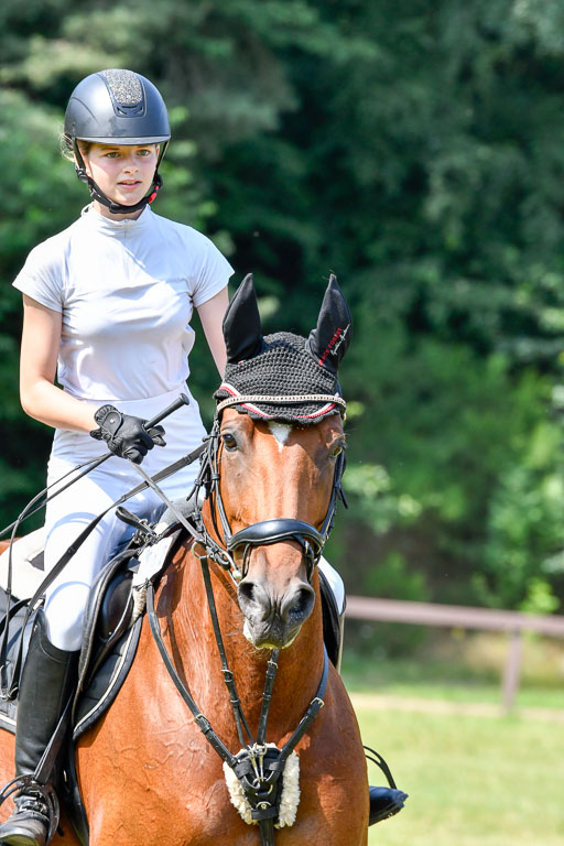 Reitturnier Harburger RV  16.7.2021 | 16072021 Stilspringpfg E_274-2 