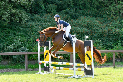 Reitturnier Harburger RV  16.7.2021 | 16072021 Stilspringpfg E_277-2 