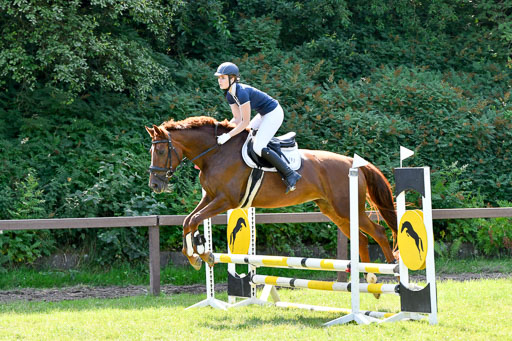 Reitturnier Harburger RV  16.7.2021 | 16072021 Stilspringpfg E_278-2 