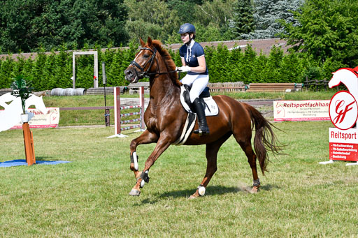 Reitturnier Harburger RV  16.7.2021 | 16072021 Stilspringpfg E_280-2 