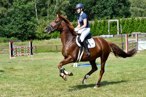 Reitturnier Harburger RV  16.7.2021 | 16072021 Stilspringpfg E_281-2 