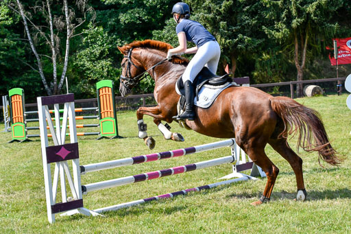 Reitturnier Harburger RV  16.7.2021 | 16072021 Stilspringpfg E_282-2 