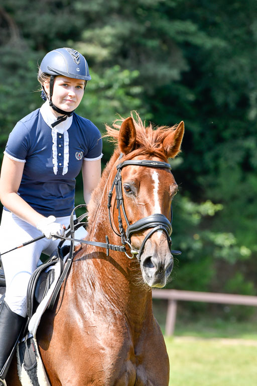 Reitturnier Harburger RV  16.7.2021 | 16072021 Stilspringpfg E_285-2 