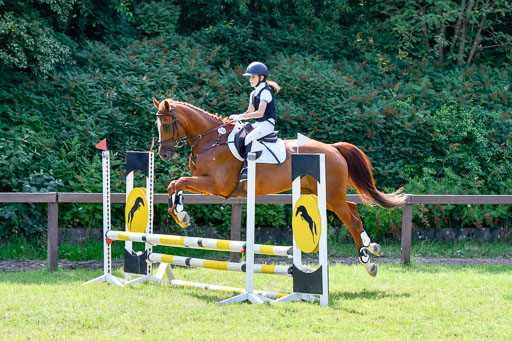 Reitturnier Harburger RV  16.7.2021 | 16072021 Stilspringpfg E_300-2 