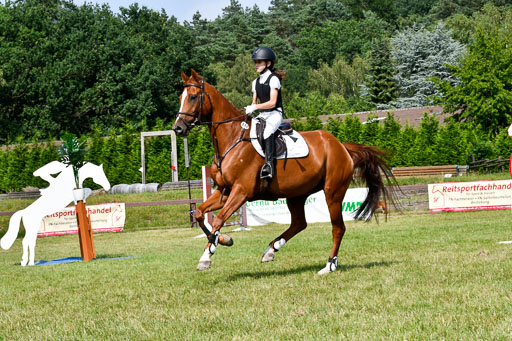 Reitturnier Harburger RV  16.7.2021 | 16072021 Stilspringpfg E_303-2 